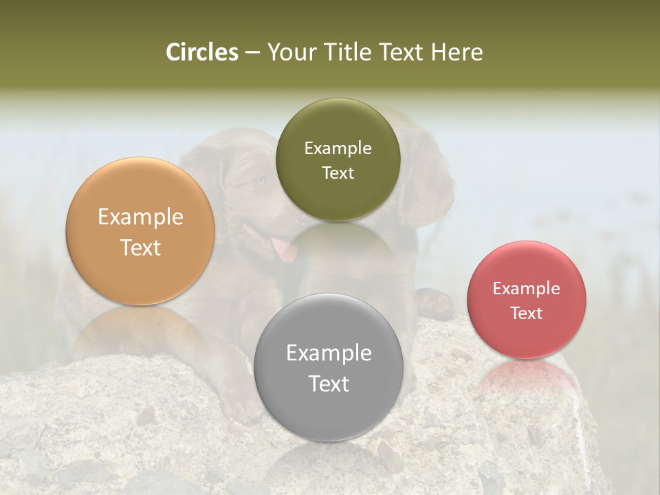 Assis Endurance Dehors PowerPoint Template