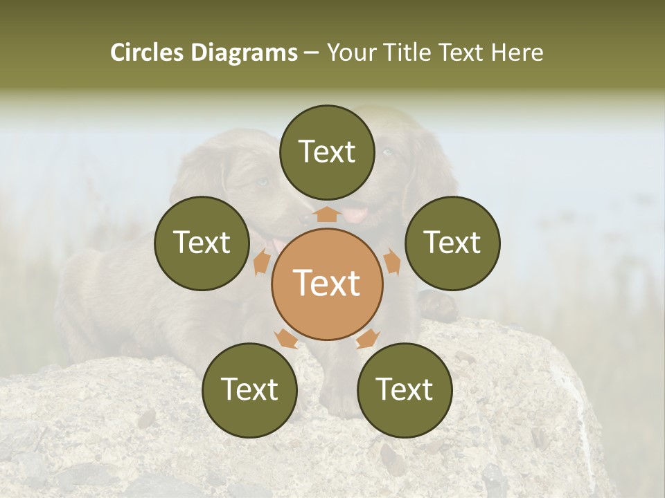 Assis Endurance Dehors PowerPoint Template