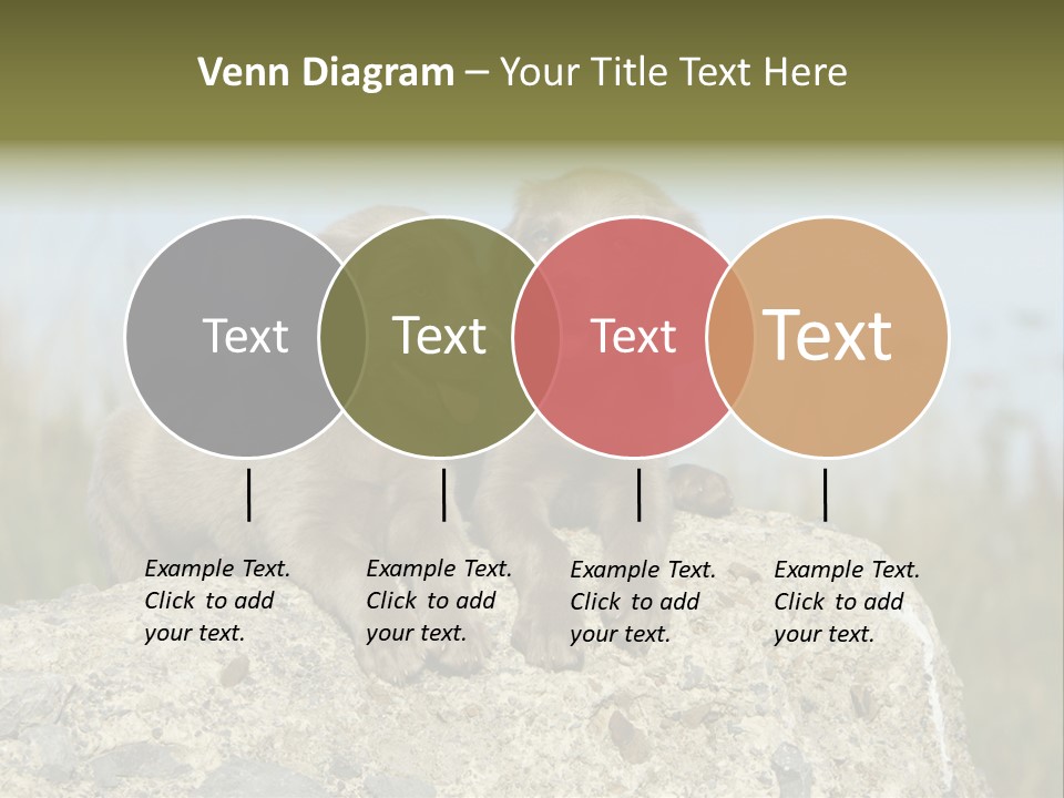 Assis Endurance Dehors PowerPoint Template