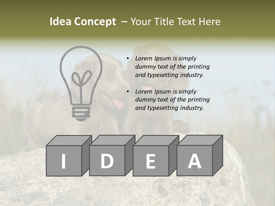 Assis Endurance Dehors PowerPoint Template