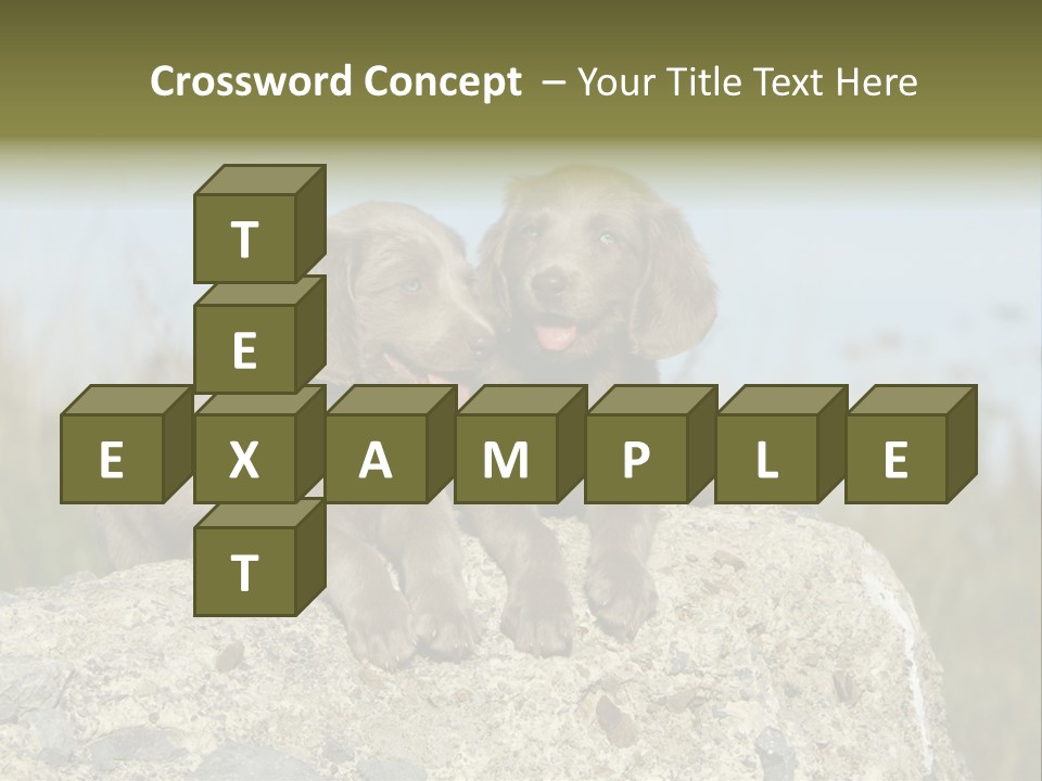 Assis Endurance Dehors PowerPoint Template