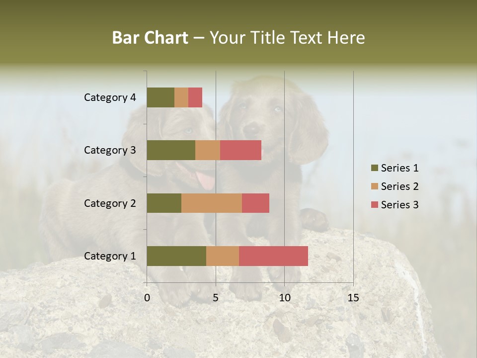 Assis Endurance Dehors PowerPoint Template