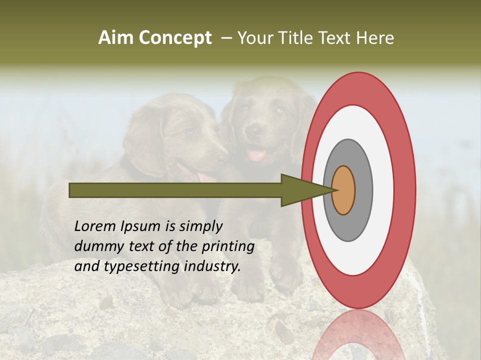 Assis Endurance Dehors PowerPoint Template