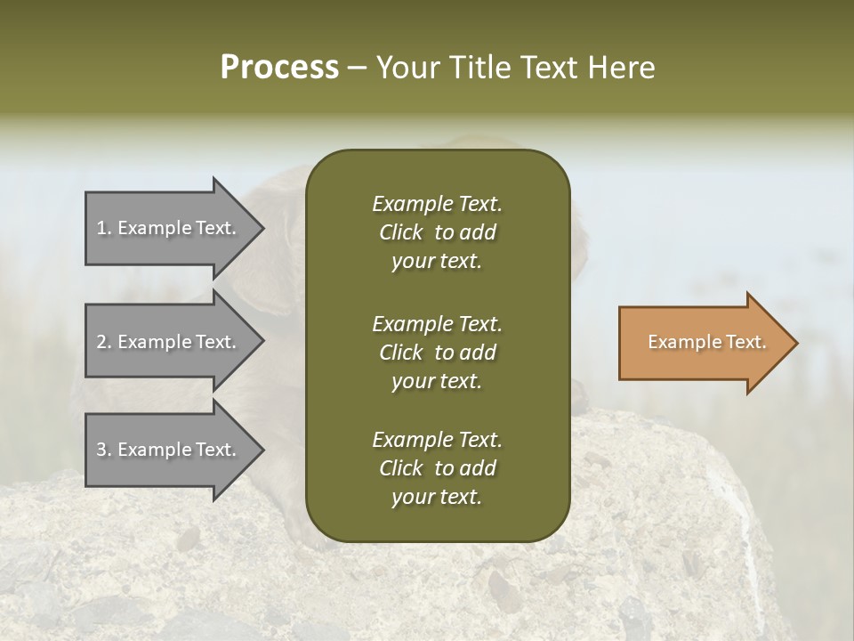 Assis Endurance Dehors PowerPoint Template