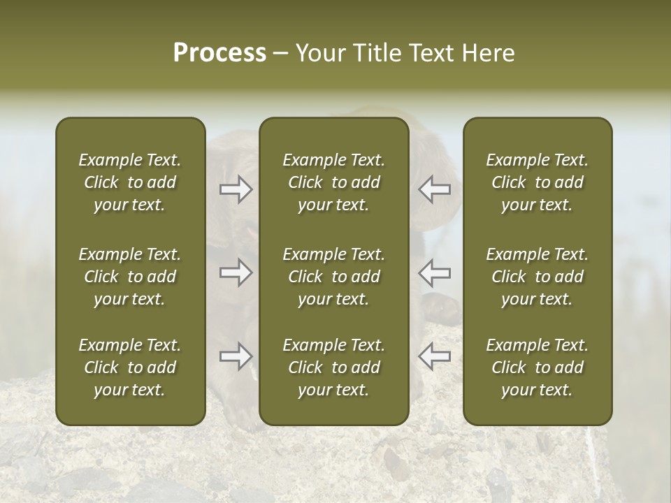 Assis Endurance Dehors PowerPoint Template