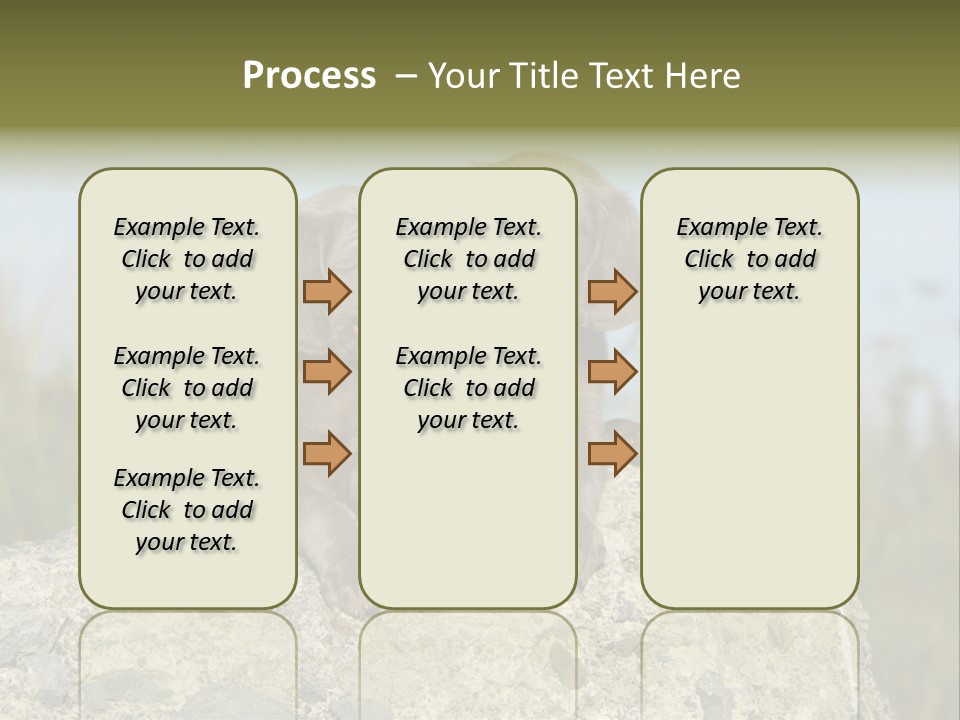 Assis Endurance Dehors PowerPoint Template