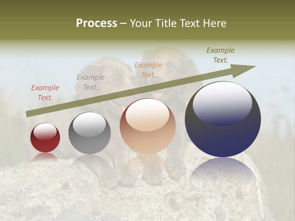 Assis Endurance Dehors PowerPoint Template