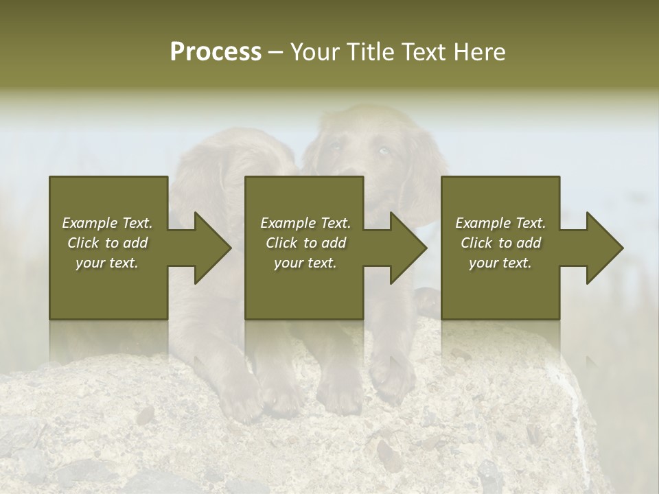 Assis Endurance Dehors PowerPoint Template
