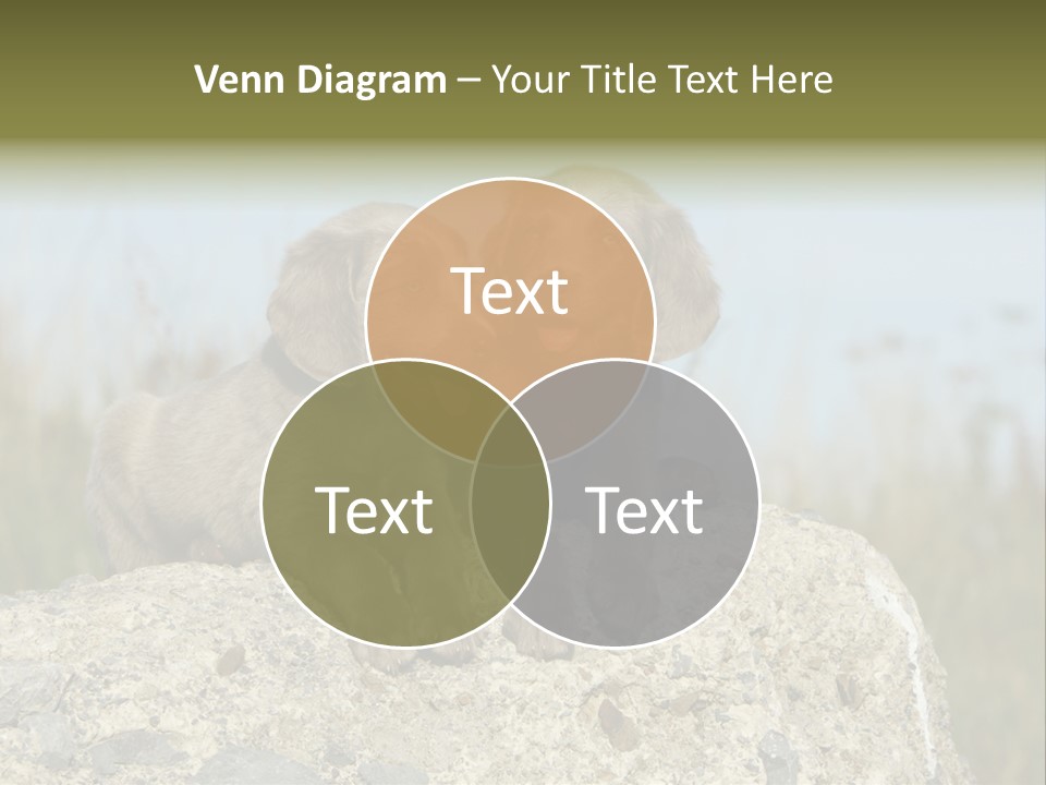 Assis Endurance Dehors PowerPoint Template