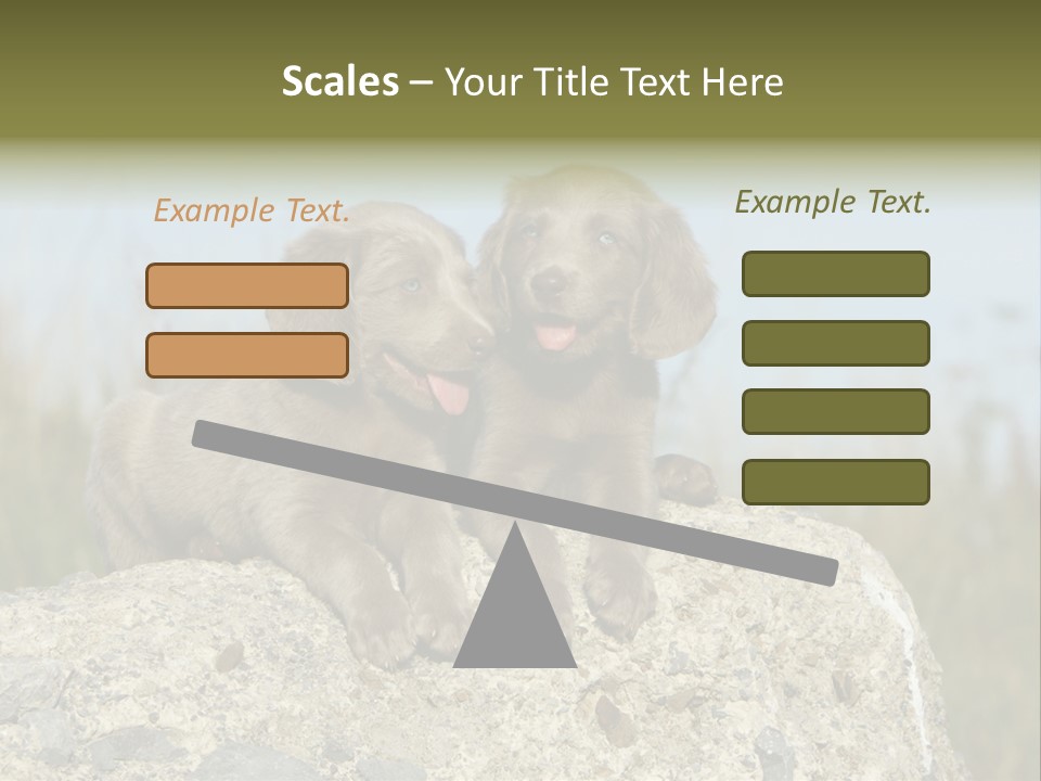Assis Endurance Dehors PowerPoint Template