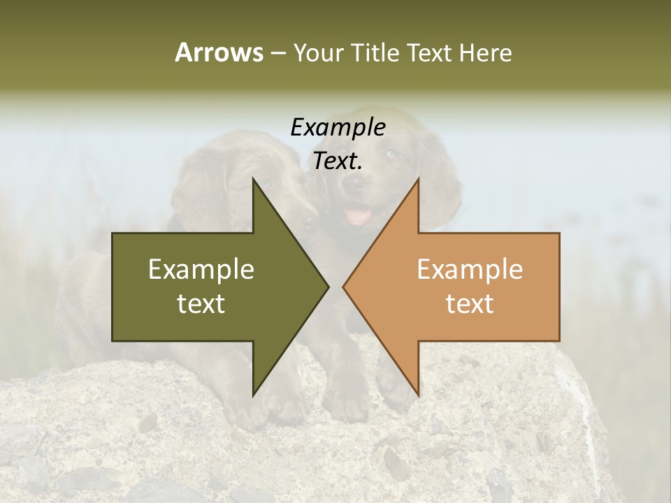 Assis Endurance Dehors PowerPoint Template