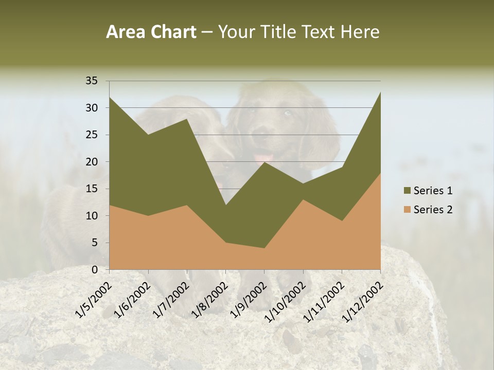 Assis Endurance Dehors PowerPoint Template