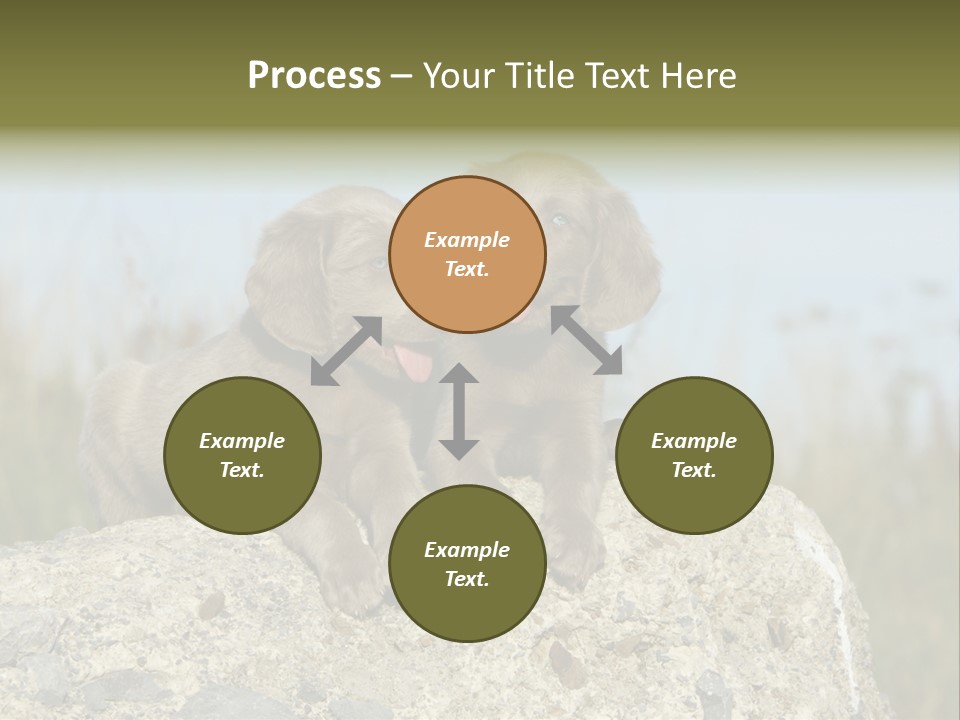 Assis Endurance Dehors PowerPoint Template