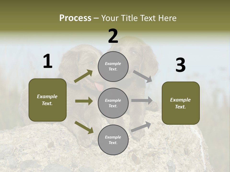 Assis Endurance Dehors PowerPoint Template