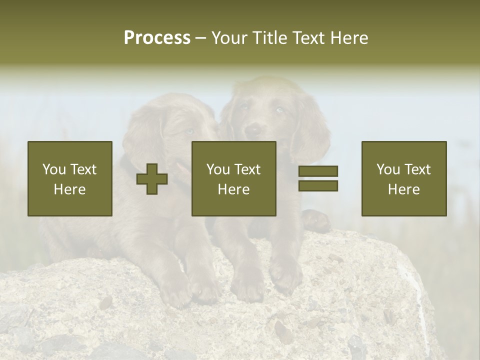 Assis Endurance Dehors PowerPoint Template