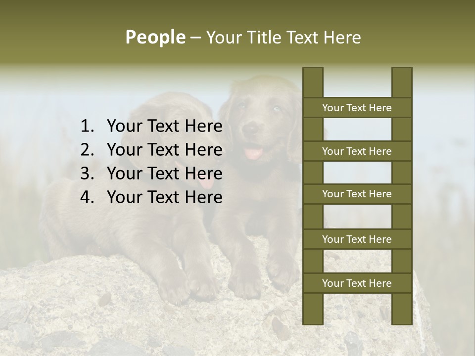 Assis Endurance Dehors PowerPoint Template