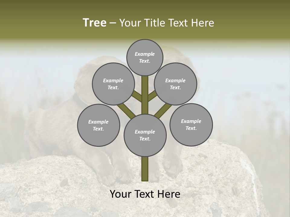 Assis Endurance Dehors PowerPoint Template