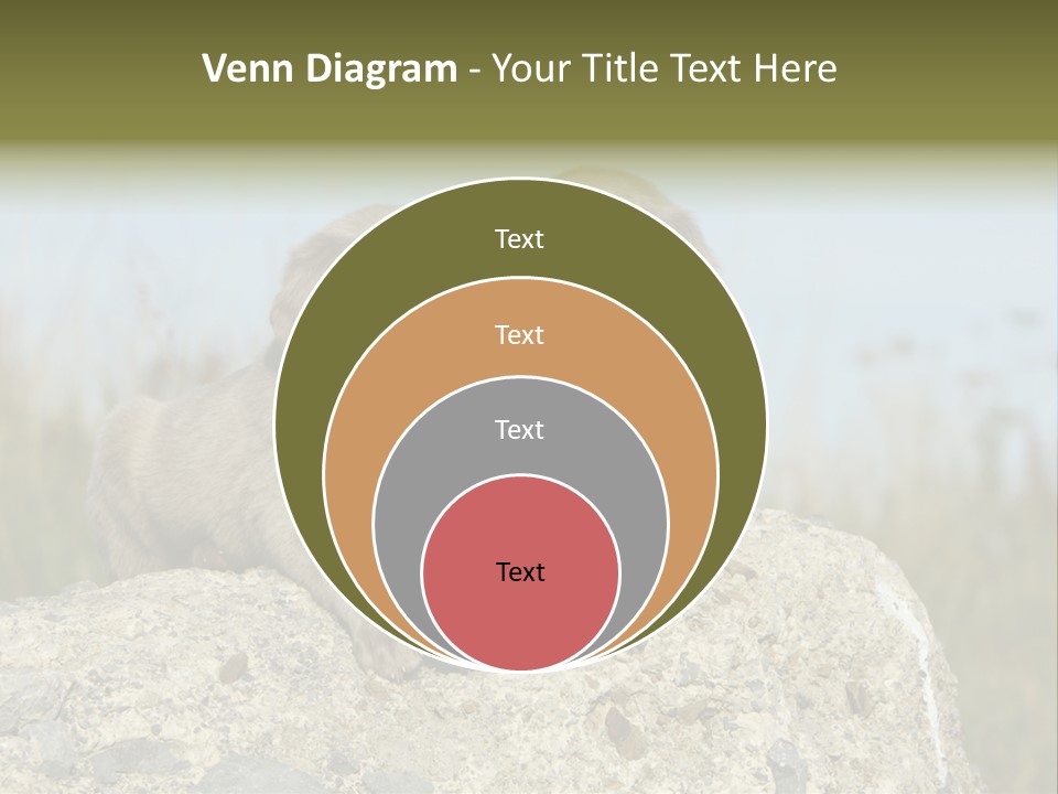 Assis Endurance Dehors PowerPoint Template
