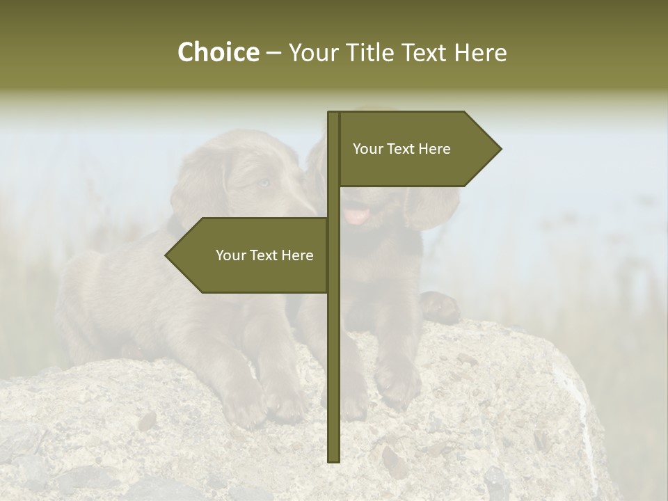 Assis Endurance Dehors PowerPoint Template