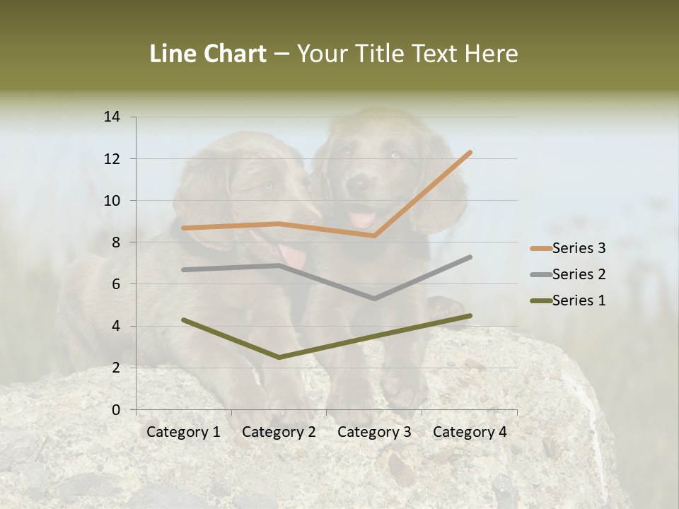 Assis Endurance Dehors PowerPoint Template