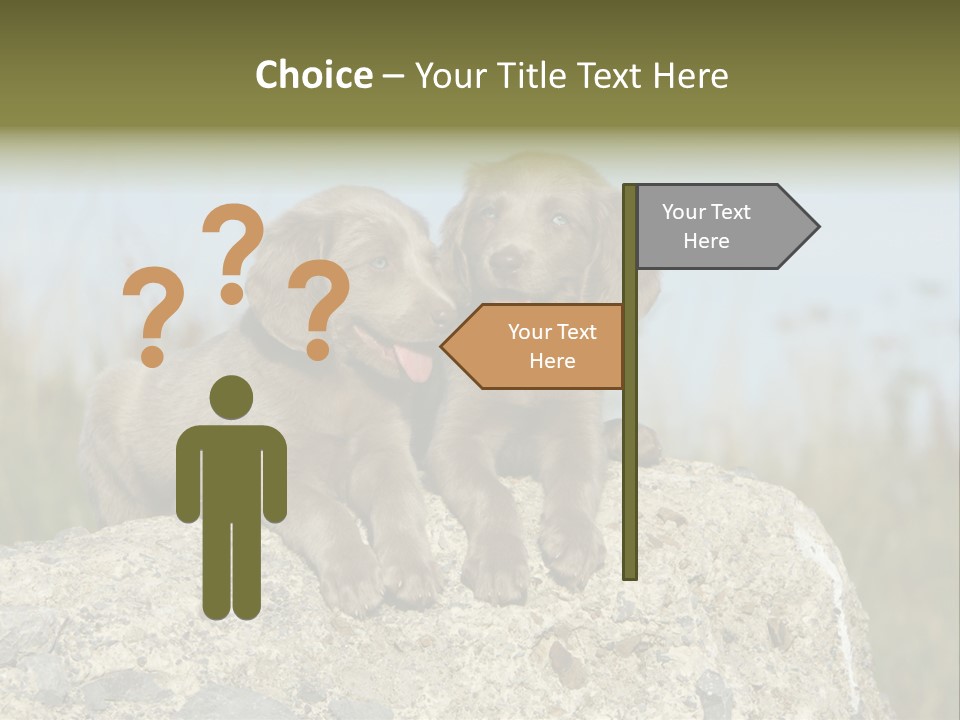 Assis Endurance Dehors PowerPoint Template