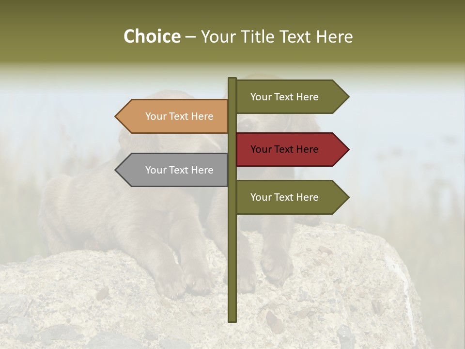 Assis Endurance Dehors PowerPoint Template
