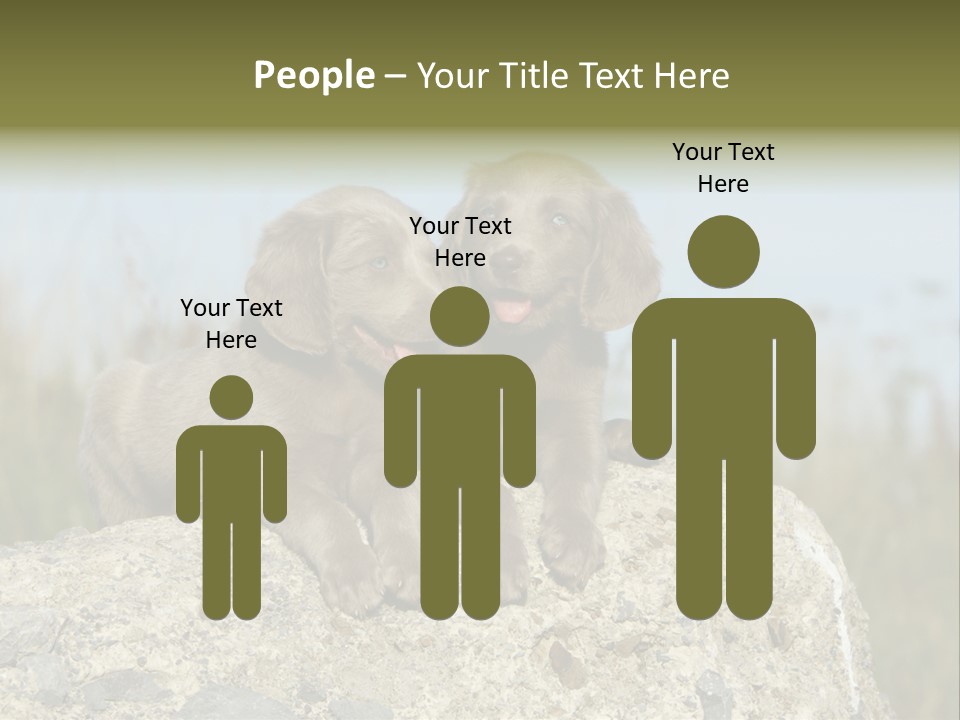 Assis Endurance Dehors PowerPoint Template