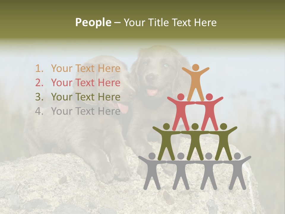 Assis Endurance Dehors PowerPoint Template