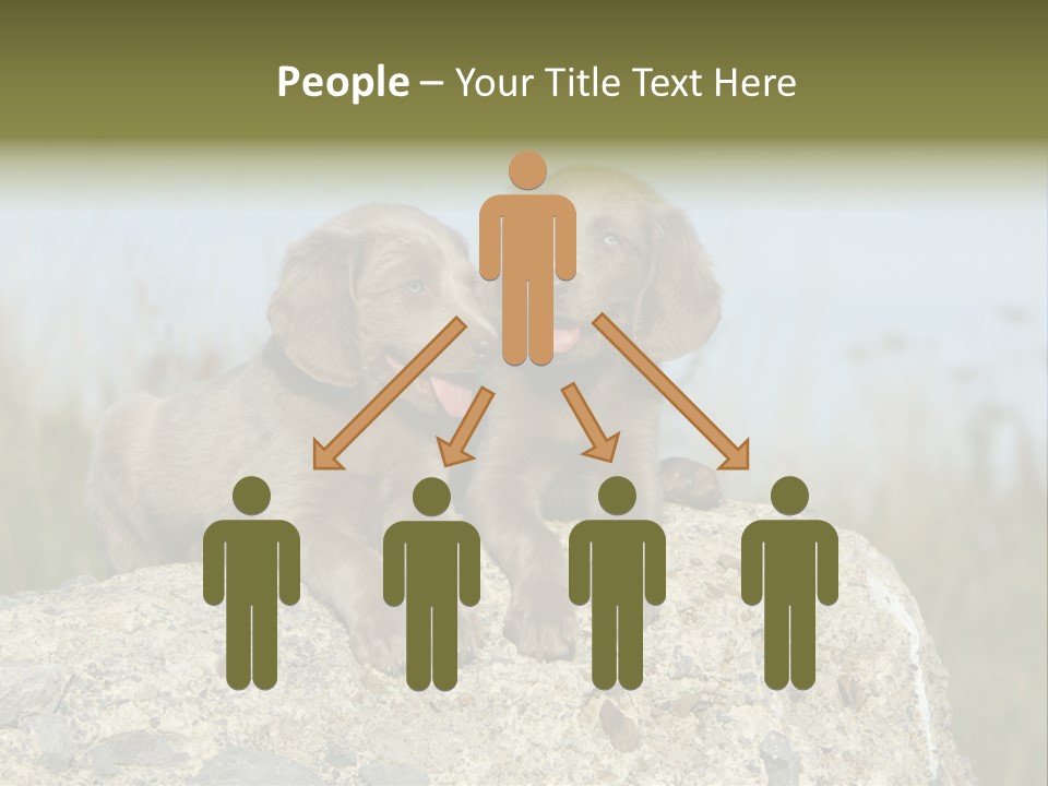 Assis Endurance Dehors PowerPoint Template