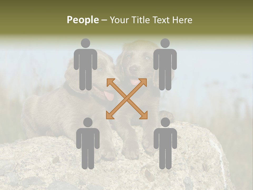 Assis Endurance Dehors PowerPoint Template