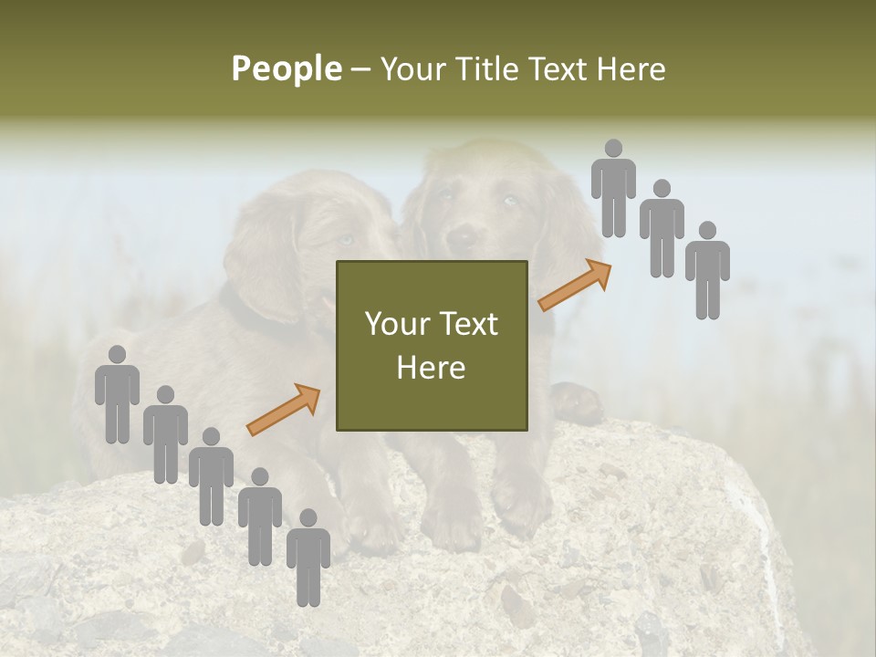 Assis Endurance Dehors PowerPoint Template