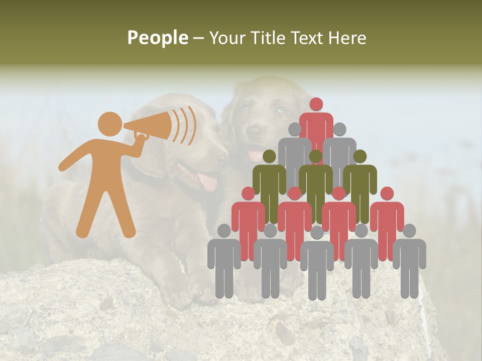 Assis Endurance Dehors PowerPoint Template