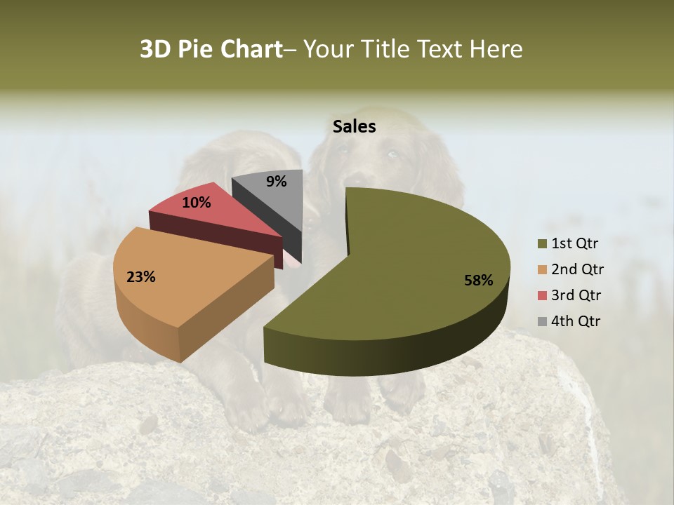 Assis Endurance Dehors PowerPoint Template