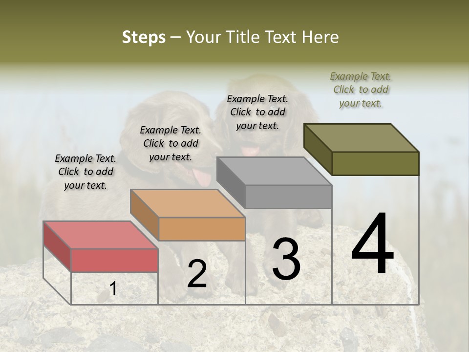 Assis Endurance Dehors PowerPoint Template