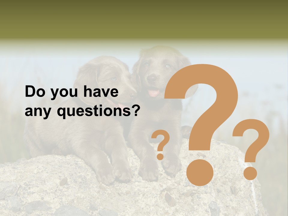 Assis Endurance Dehors PowerPoint Template