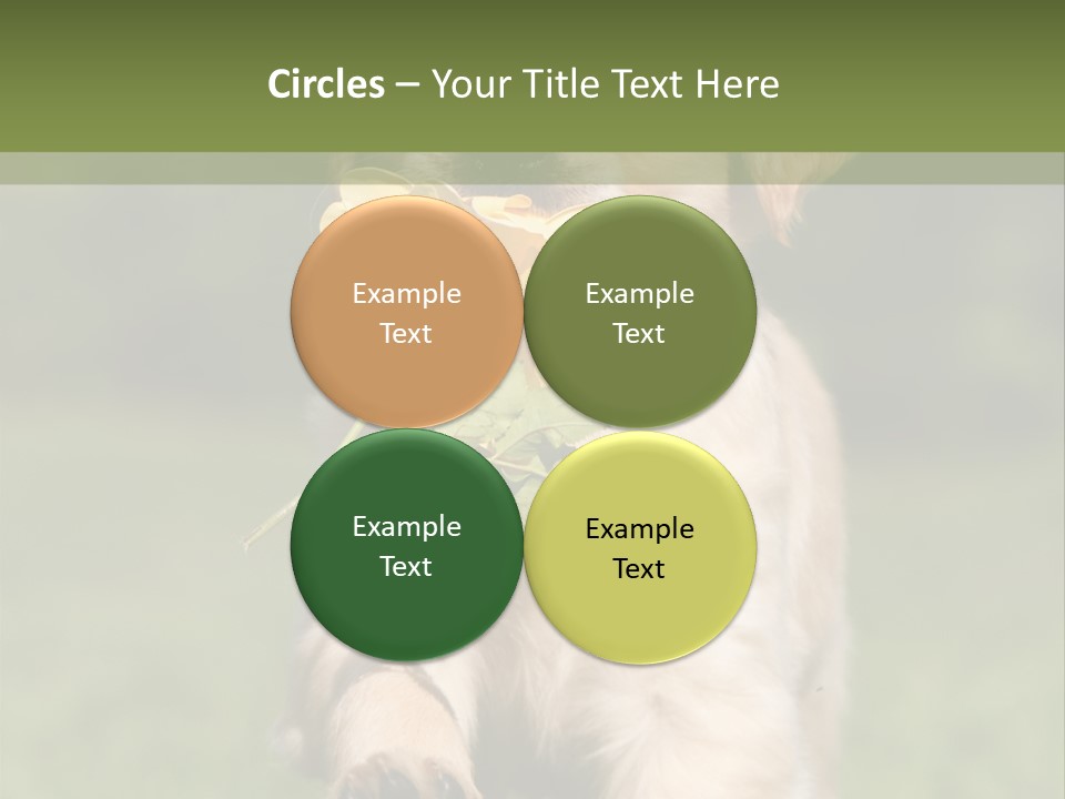 Klein Niedlich Beige PowerPoint Template