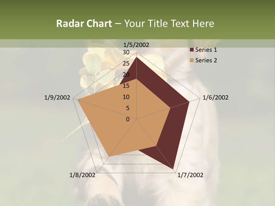 Klein Niedlich Beige PowerPoint Template