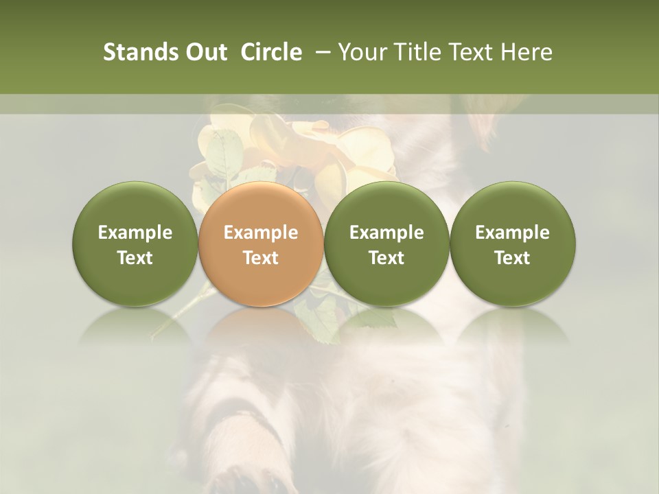 Klein Niedlich Beige PowerPoint Template