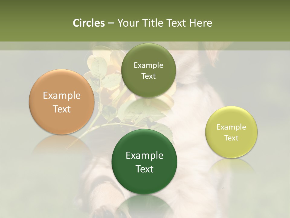 Klein Niedlich Beige PowerPoint Template