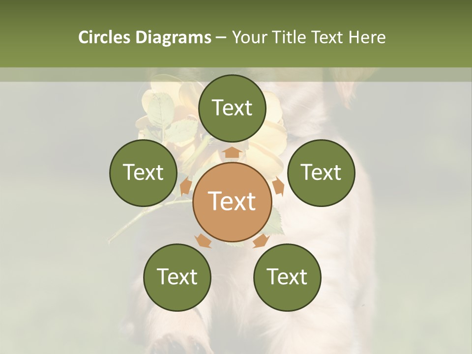 Klein Niedlich Beige PowerPoint Template