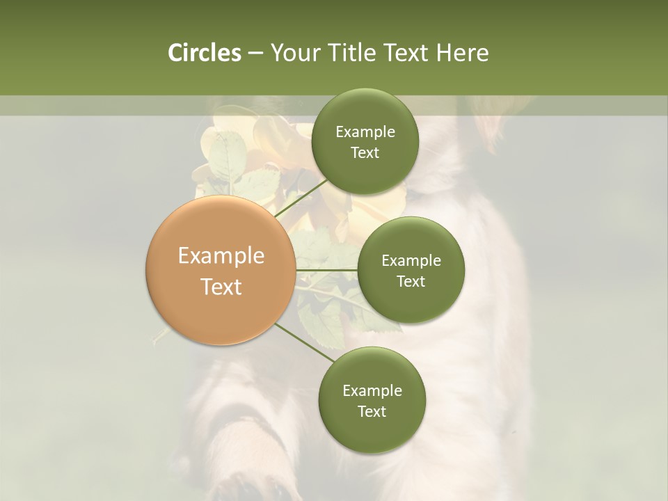 Klein Niedlich Beige PowerPoint Template