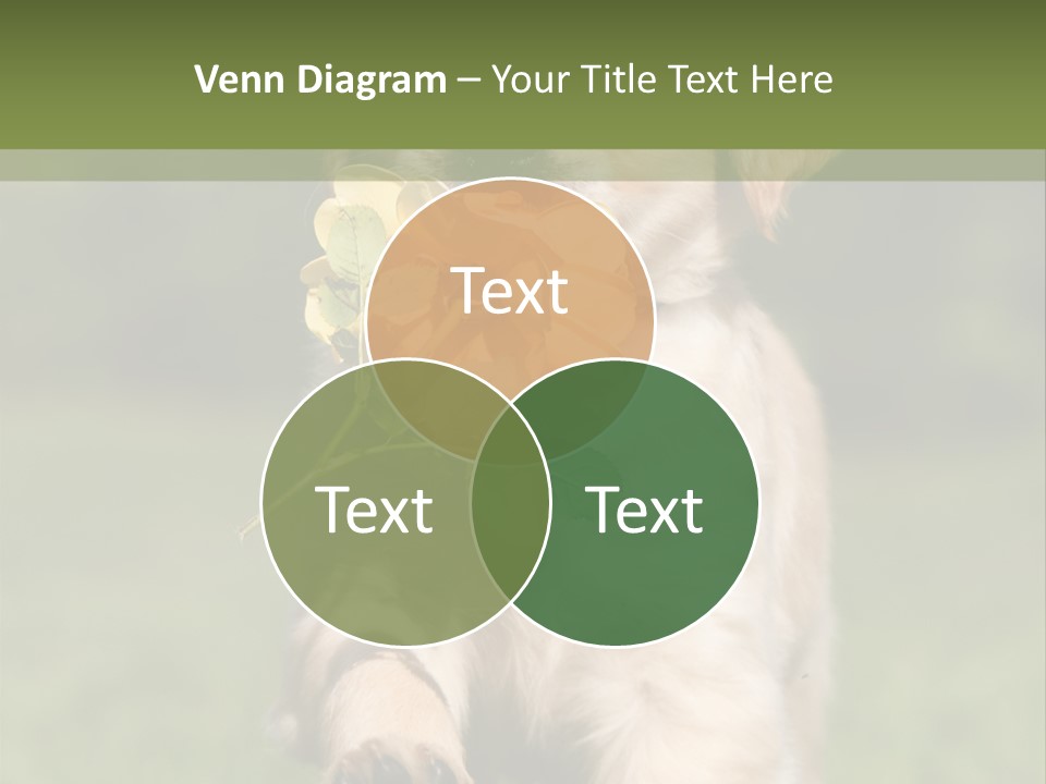 Klein Niedlich Beige PowerPoint Template