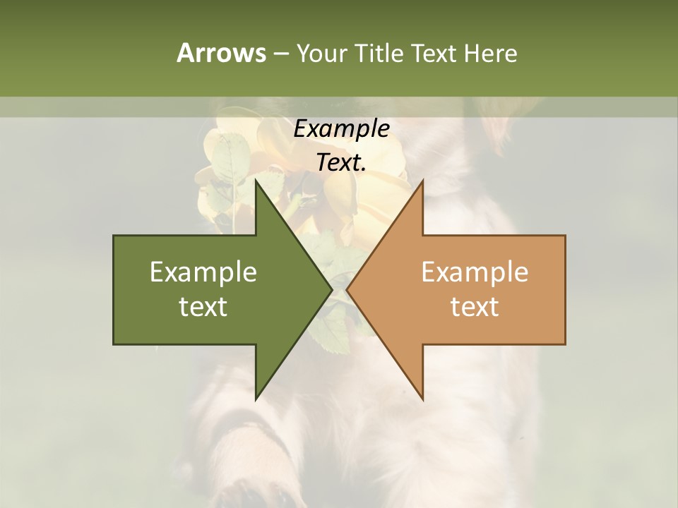 Klein Niedlich Beige PowerPoint Template