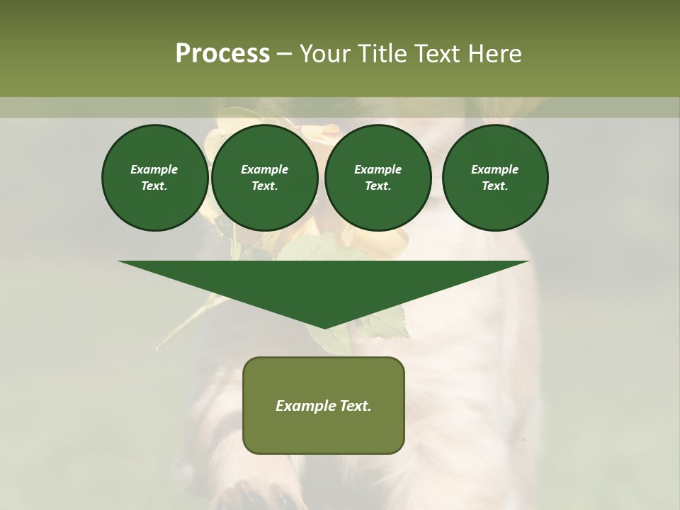 Klein Niedlich Beige PowerPoint Template
