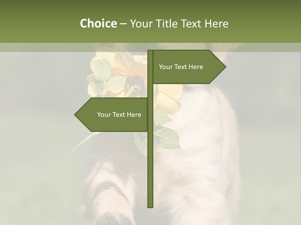 Klein Niedlich Beige PowerPoint Template