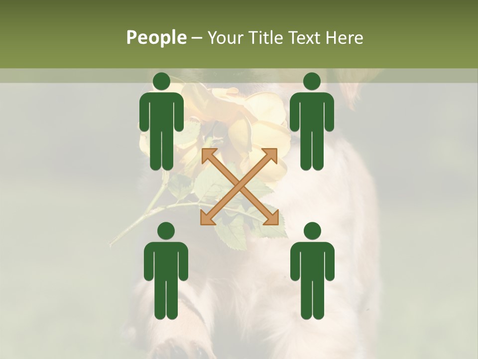 Klein Niedlich Beige PowerPoint Template