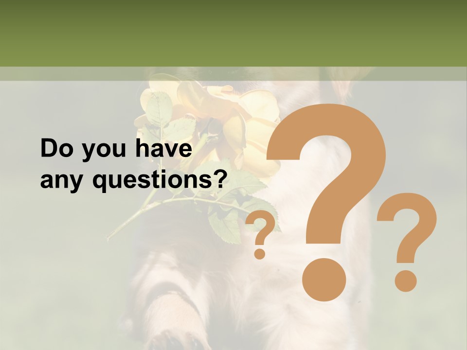 Klein Niedlich Beige PowerPoint Template