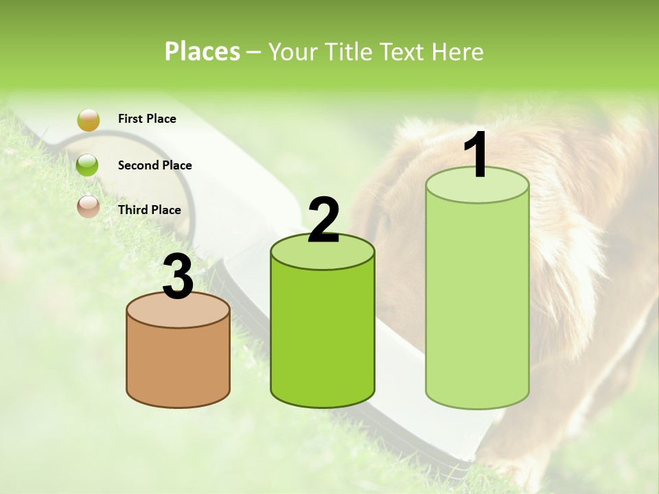 Doggie Lifestyle Dog PowerPoint Template