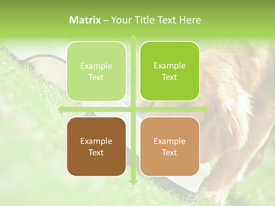 Doggie Lifestyle Dog PowerPoint Template