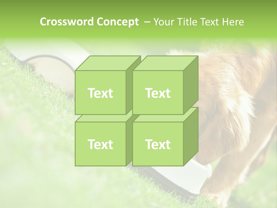 Doggie Lifestyle Dog PowerPoint Template